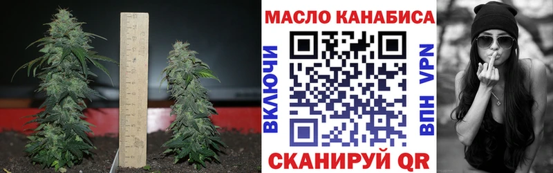 ТГК вейп  Томмот 